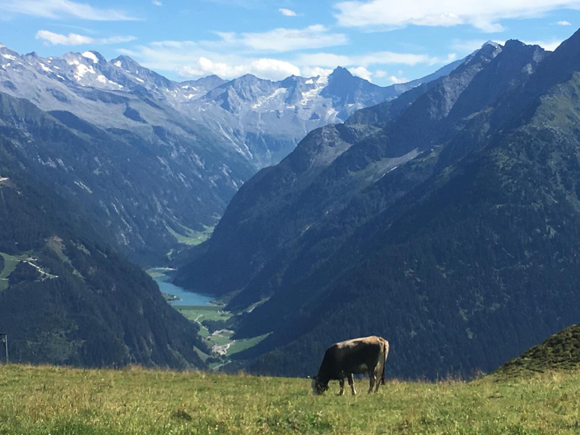 Landhaus Katharina Bis 12 Personen Mit Saunachalet Und Blick Auf Die Bergwelt Des Zillertals Hippach Eksteriør bilde